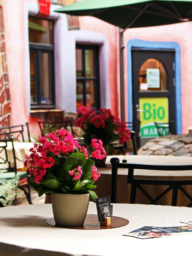 hundred water house, magdeburg, hundertwasser, facade, building, architecture, modern, window, saxony-anhalt, coffee, restaurante, art, style, architectural style, garden chairs, colorful facade, sightseeing, bio load